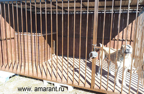 Вольер для животных с крышей и полом (400х200)см