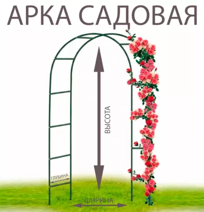 Арка "Фантазия" - фото 4