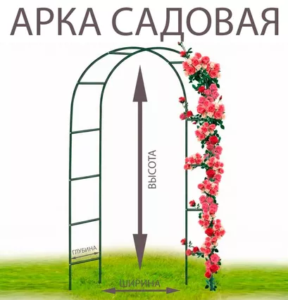 Арка "Сириус" - фото 2