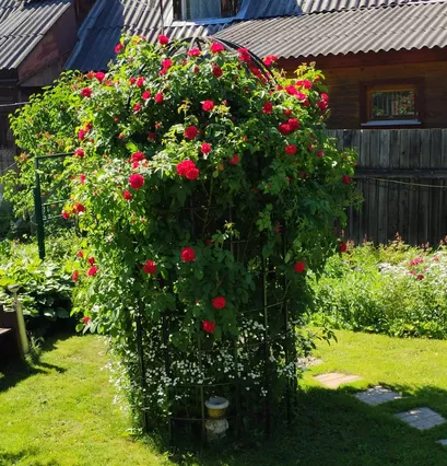 Опора под розы - фото 2
