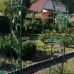 Купить Арка "Лоза в зелени" - фото 1