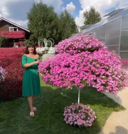 Крутящееся дерево под кашпо "Новелла" - фото 2
